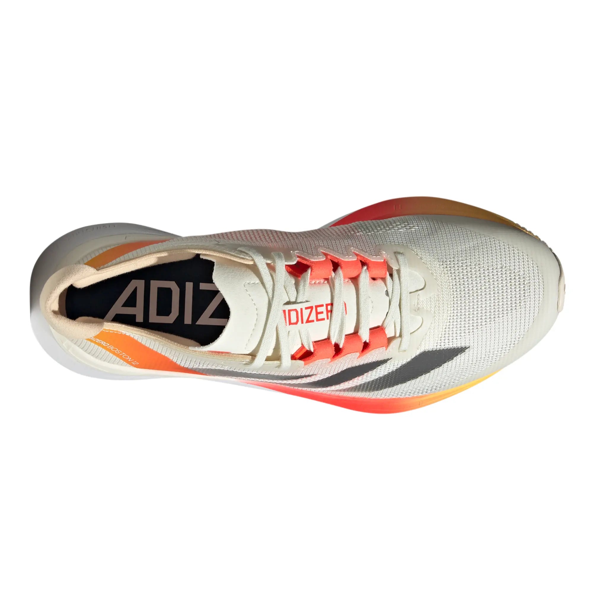 Womens adidas Adizero Boston 12
