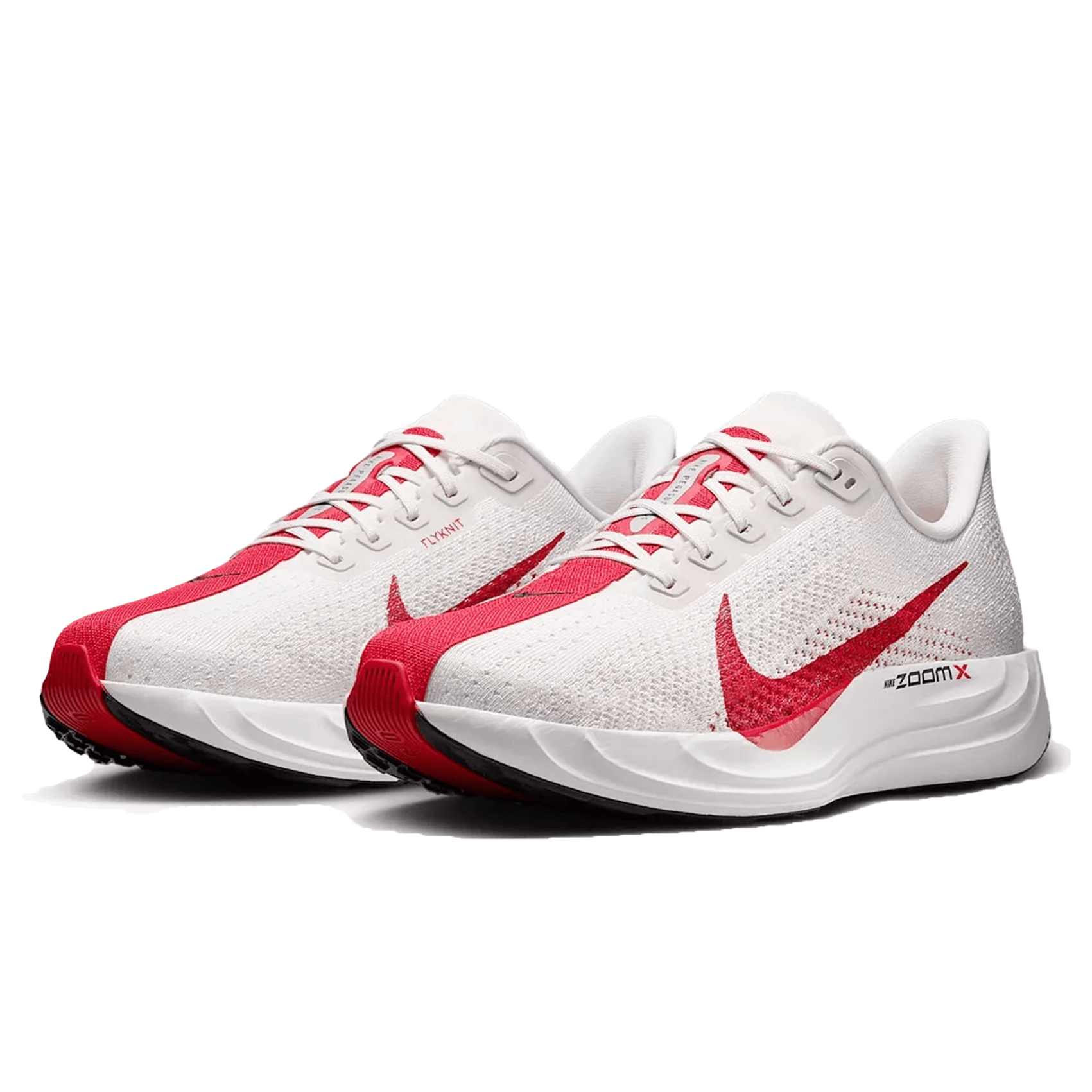 Mens Nike Pegasus Plus