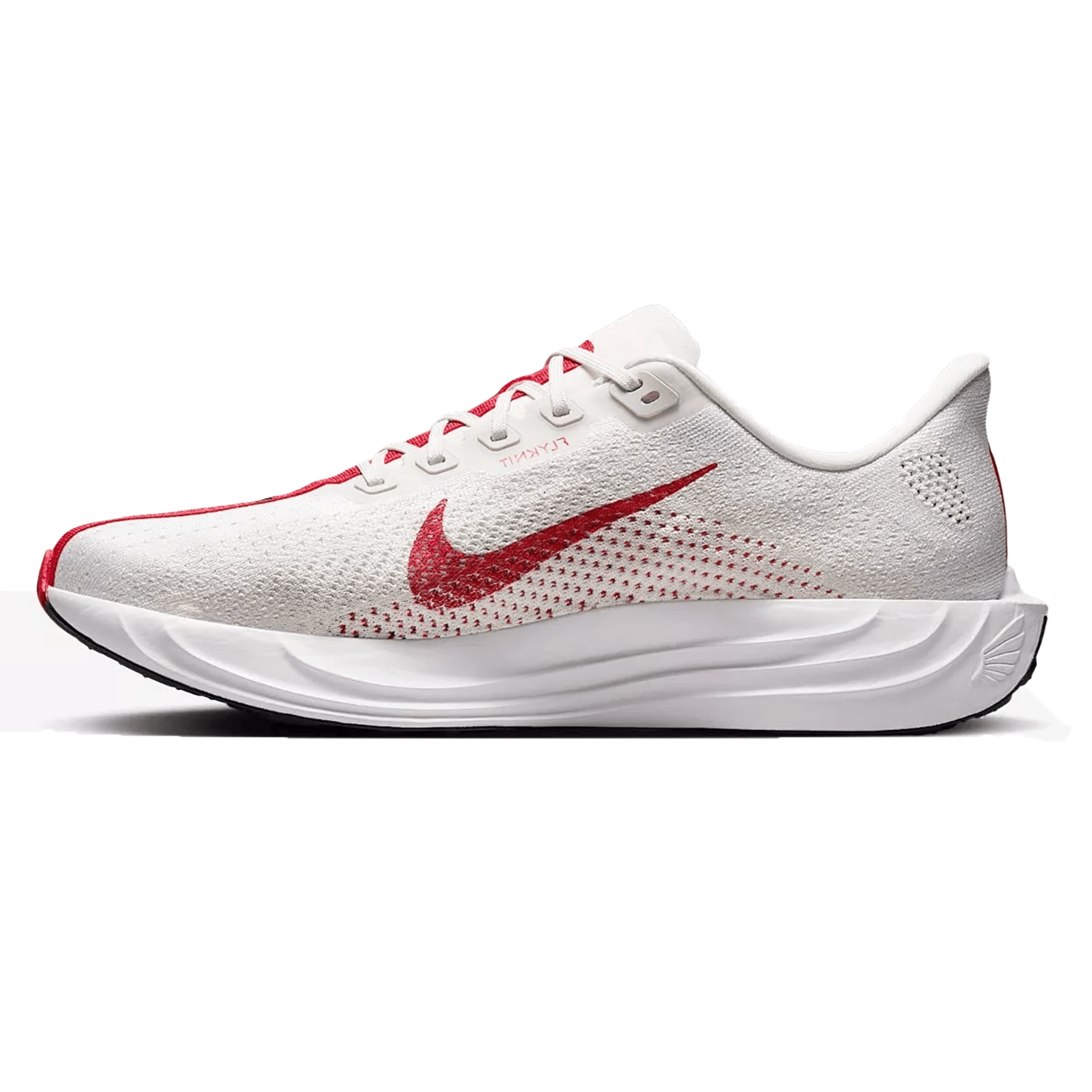 Mens Nike Pegasus Plus