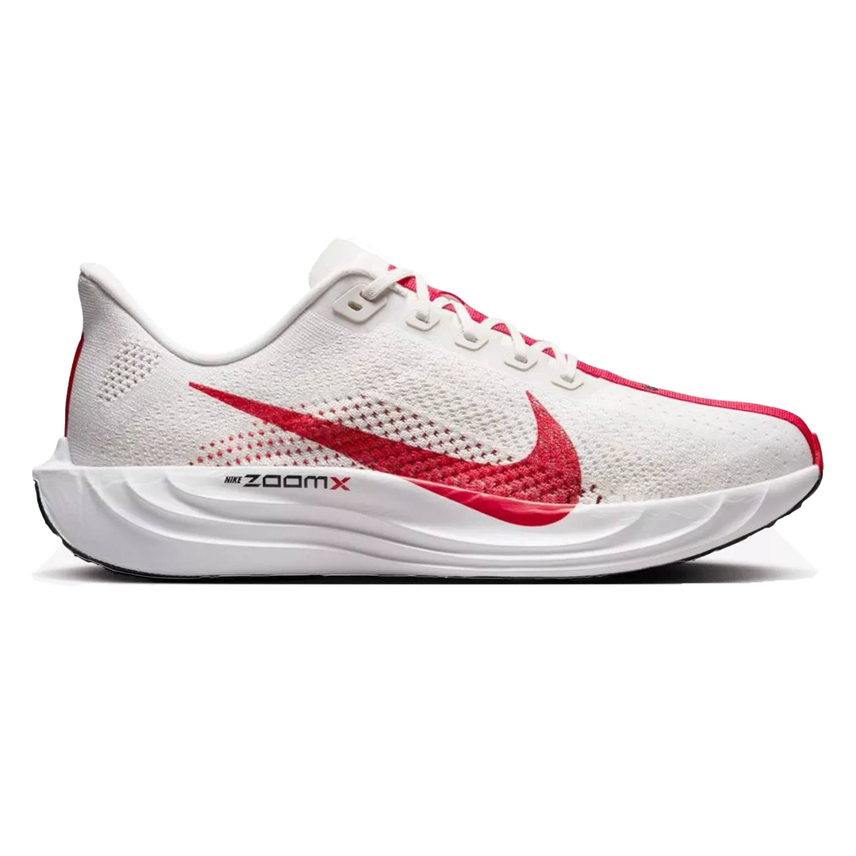 Mens Nike Pegasus Plus