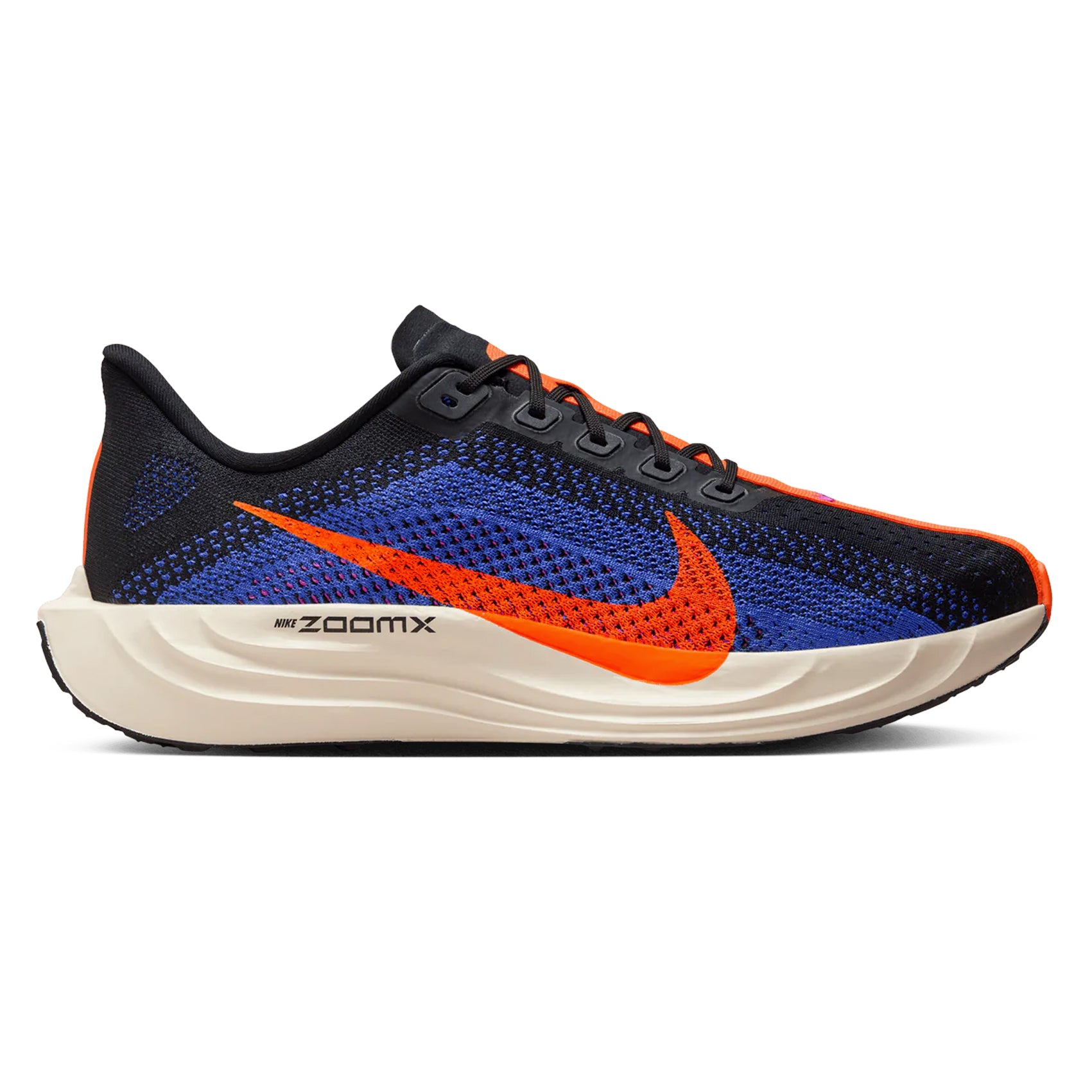 Mens Nike Pegasus Plus