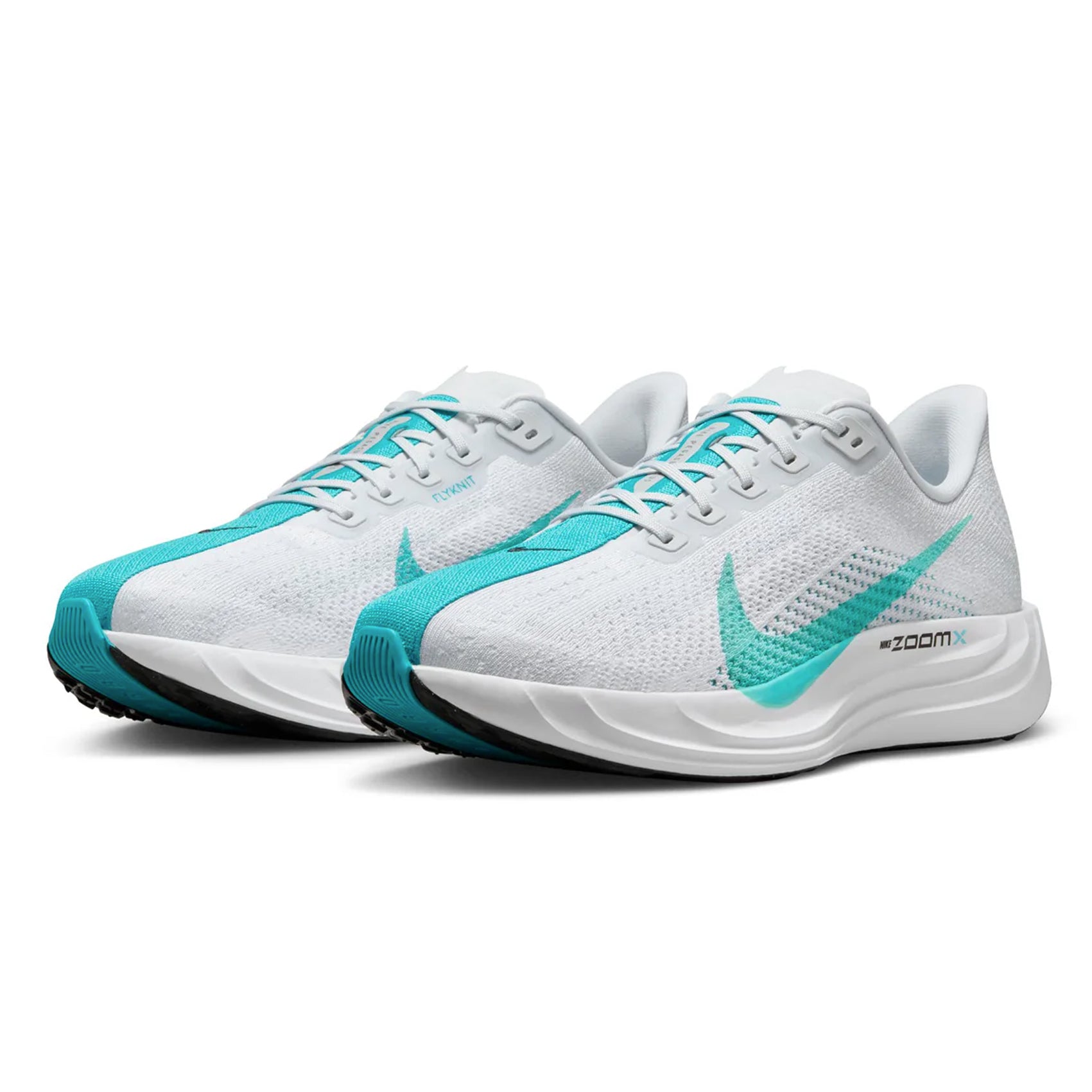 Mens Nike Pegasus Plus